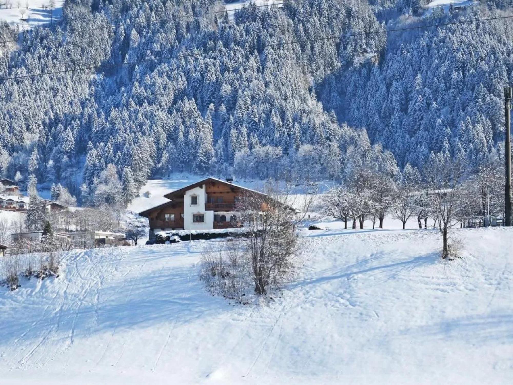 Apartment With Panoramic View Ramsau im Zillertal Eksteriør bilde